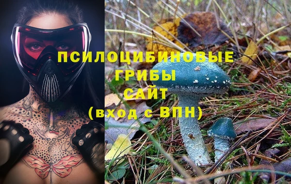прущая мука Каменка
