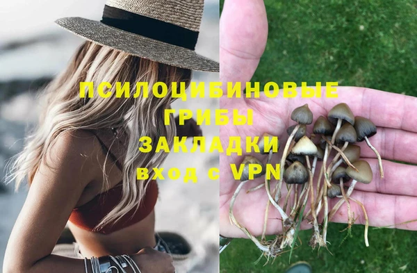 трава Куртамыш