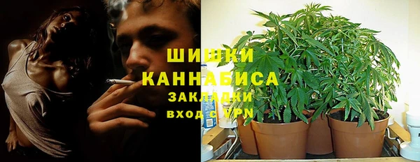 ALPHA PVP Каменногорск