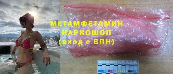 шишки Инта