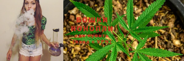 ALPHA PVP Каменногорск