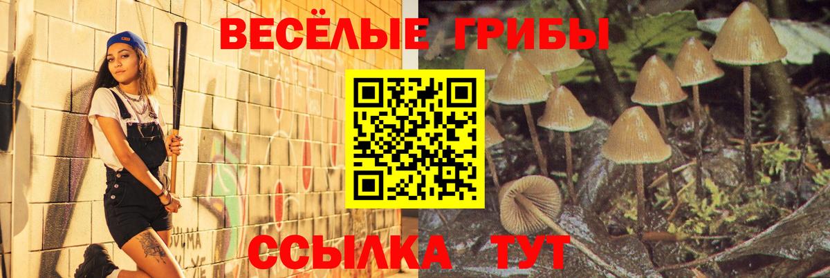 купить закладку  Галлюциногенные грибы Cubensis  Вход с VPN  Галлюциногенные грибы GOLDEN TEACHER  Михайловка 